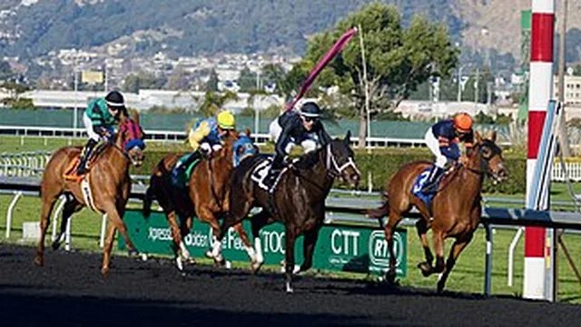 Play Horse Racing Betting at crown88singapore.com